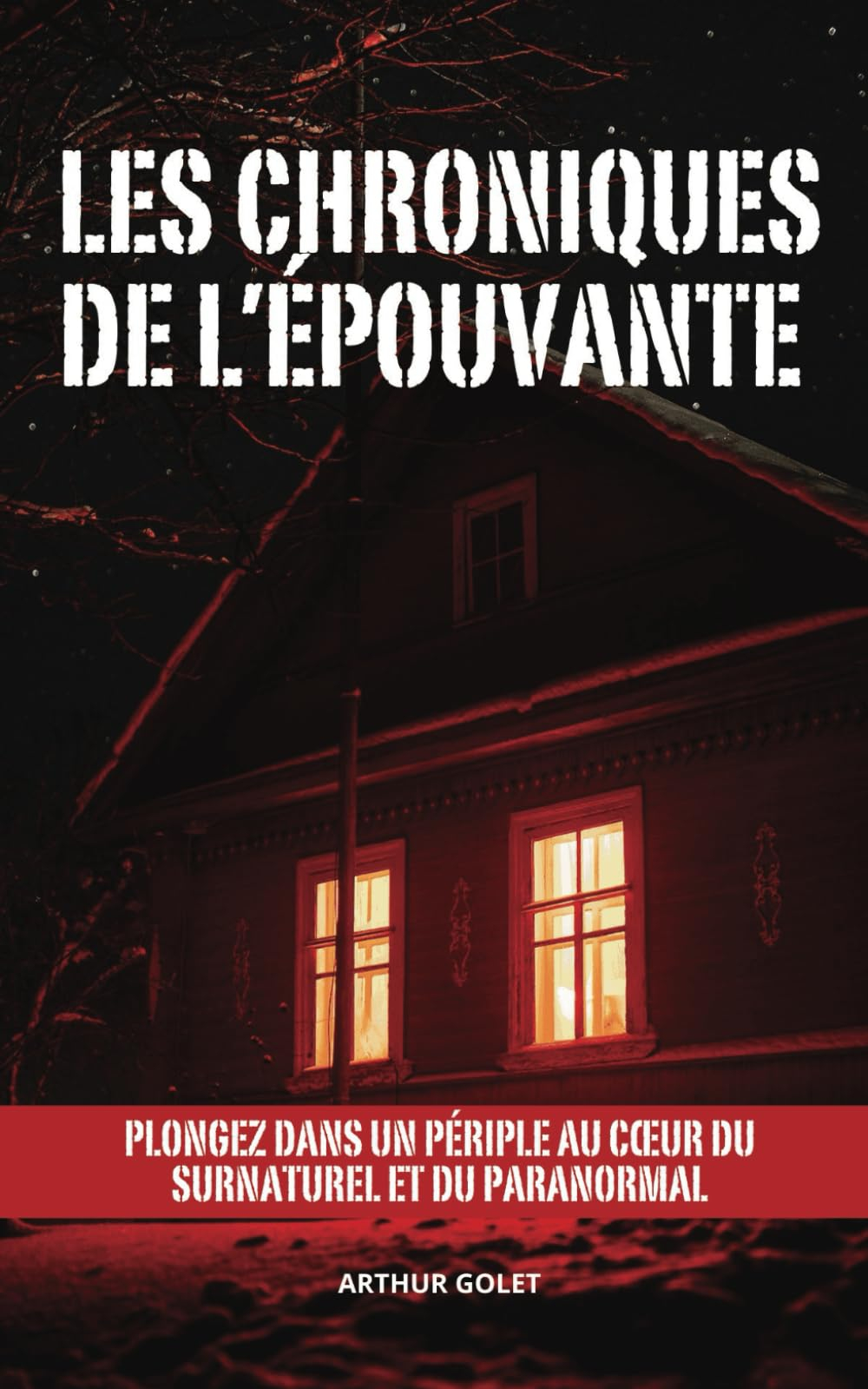 Les chroniques de l’épouvante: Plongez dans un périple au coeur du surnaturel et du paranormal