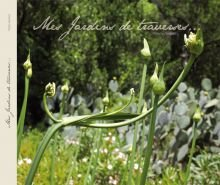 Jardins de Traverses : la passion des jardins méditerranéens et l’histoire des établissements Derbez