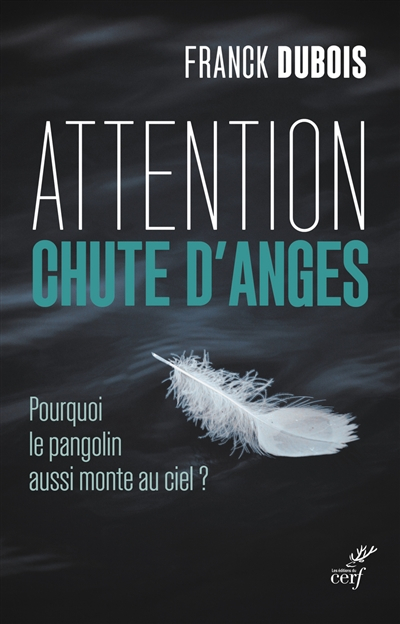 Attention chute d'anges : pourquoi le pangolin aussi monte au ciel ?