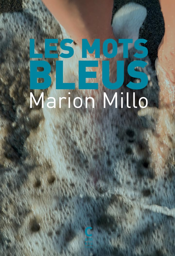 Les mots bleus
