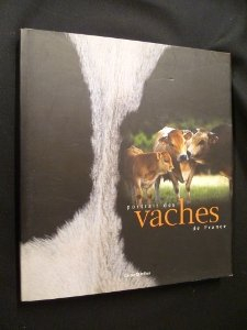 portrait des vaches de france