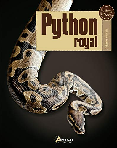 Python royal : Python regius