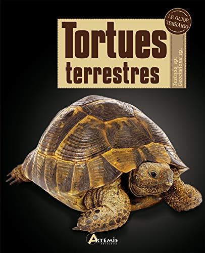 Tortues terrestres : testudo sp, geochelone sp