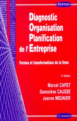 Diagnostic, organisation, planification de l'entreprise : formes et transformations de la firme