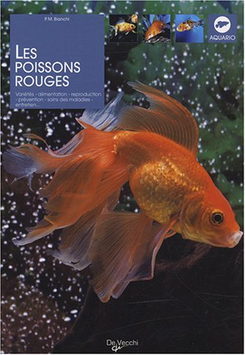 Les poissons rouges