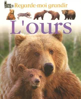 L'ours