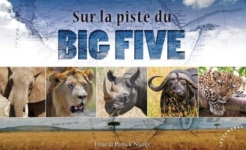 Sur la piste du Big Five