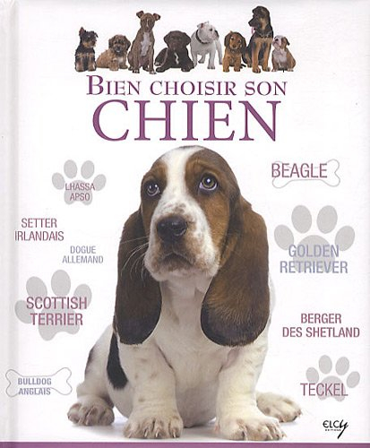 Bien choisir son chien : guide des animaux