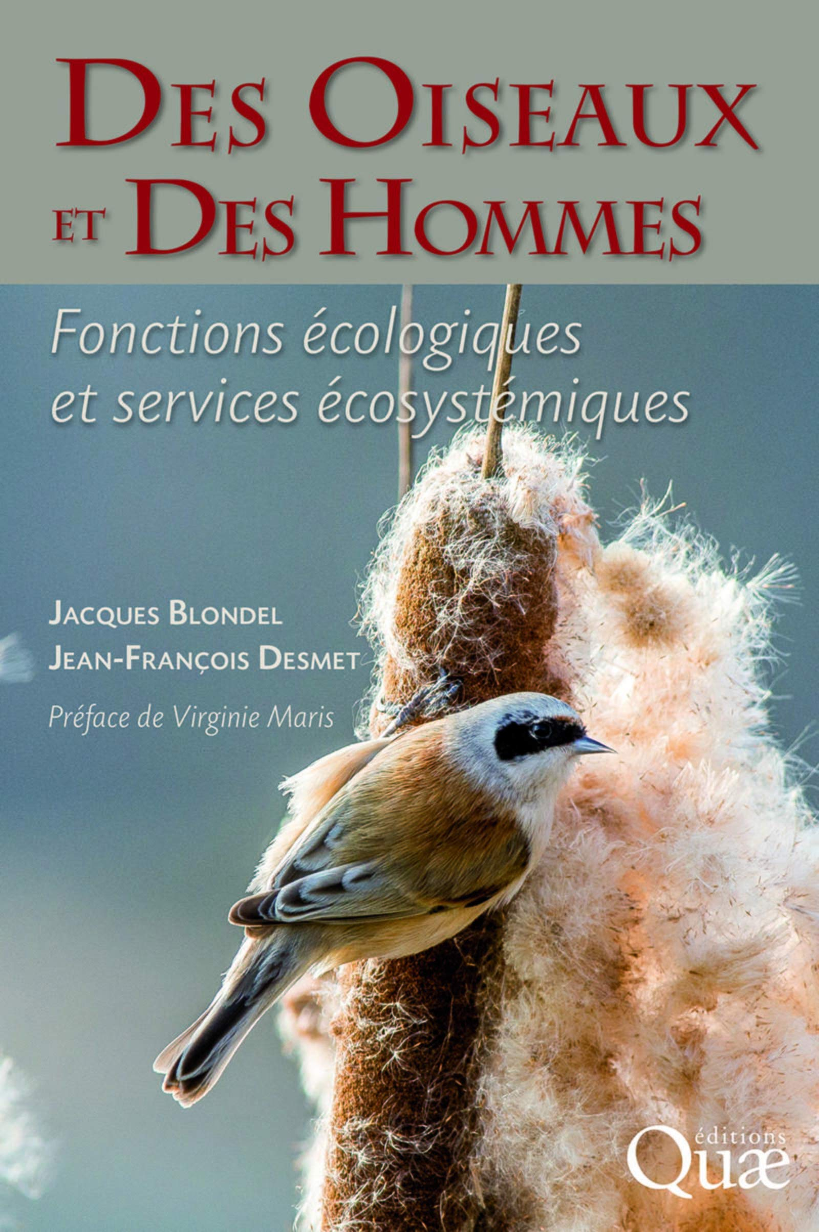 Des oiseaux et des hommes : fonctions écologiques et services écosystémiques
