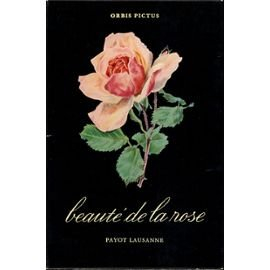 beauté de la rose