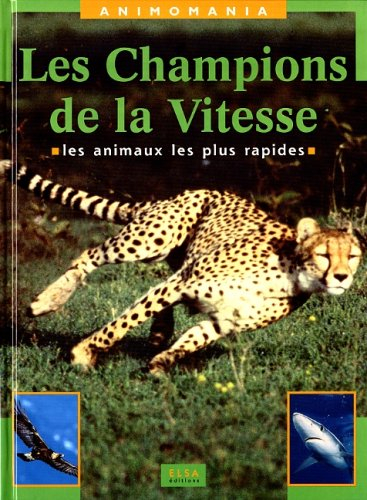 champions de la vitesse -animomania-