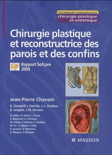 Chirurgie plastique et reconstructrice des parois et des confins : rapport Sofcpre 2009