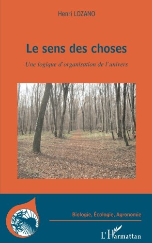 Le sens des choses : une logique d'organisation de l'Univers