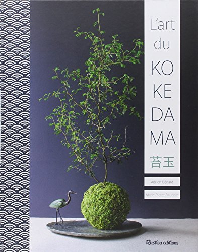 L'art du kokedama