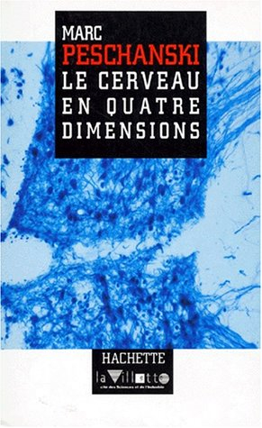 Le cerveau en quatre dimensions
