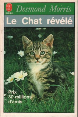 Le Chat révélé : guide essentiel du comportement de votre chat