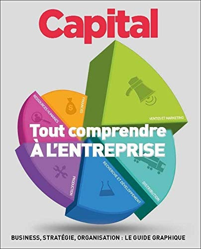 Tout comprendre à l'entreprise : business, stratégie, organisation : le guide graphique