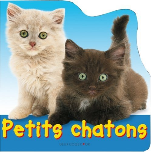 Petits chatons