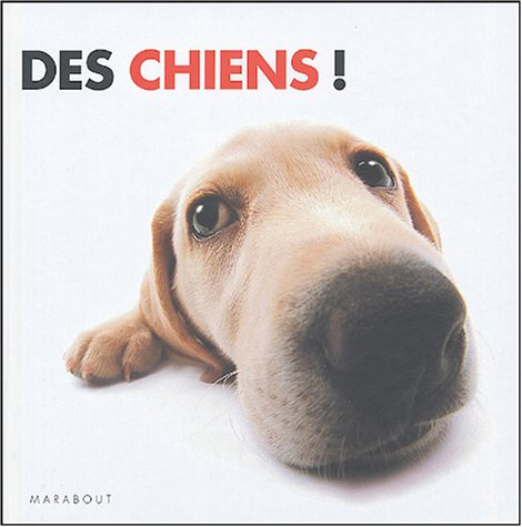 Des chiens !