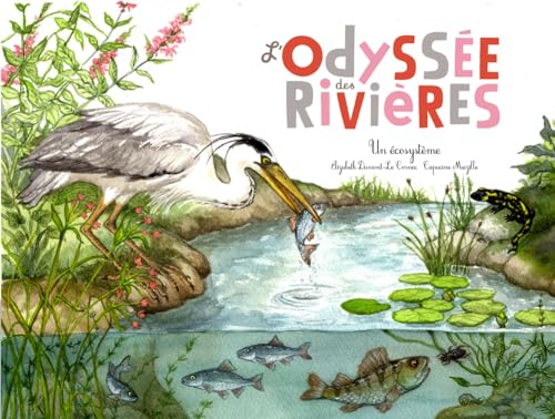 L'odyssée des rivières : un écosystème aquatique