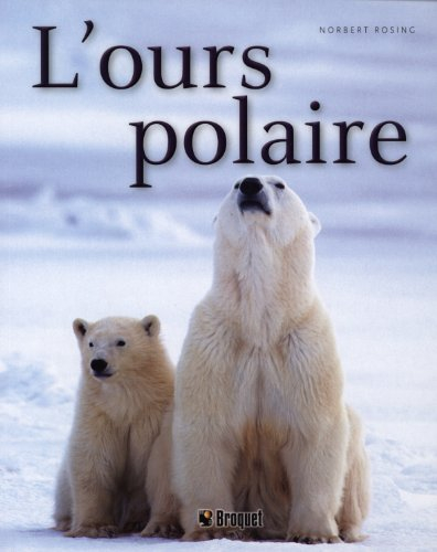 l'ours polaire
