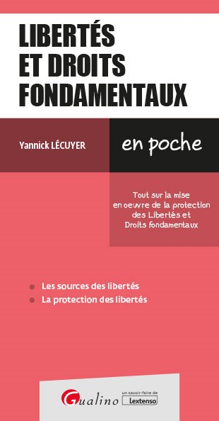Libertés et droits fondamentaux : tout sur la mise en oeuvre de la protection des libertés et droits