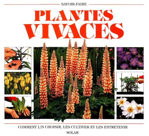 Plantes vivaces : comment les choisir, les cultiver et les entretenir