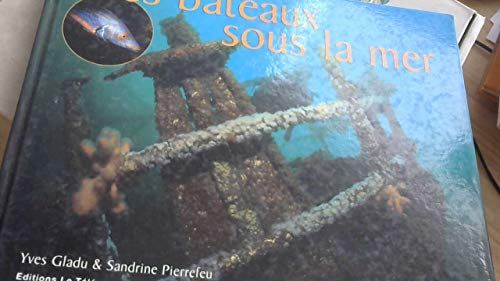 Des bateaux sous la mer : épaves en Bretagne