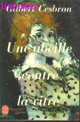 une abeille contre la vitre