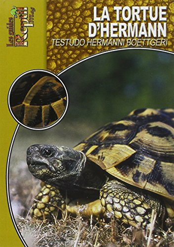 La tortue d'Hermann orientale : Testudo hermanni boettgeri
