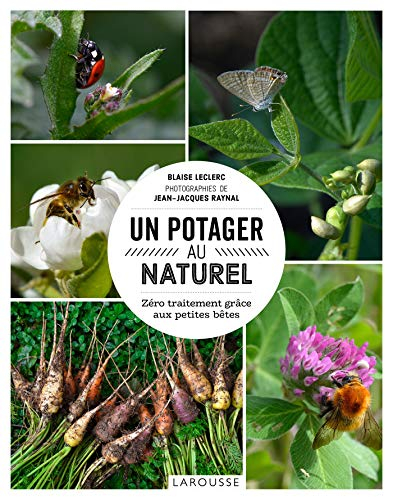 Un potager au naturel : zéro traitement grâce aux petites bêtes