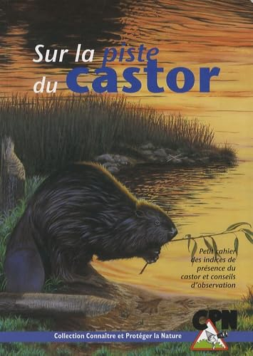 Sur la piste du castor