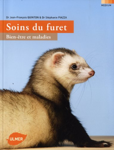 Soins du furet : bien-être et maladies