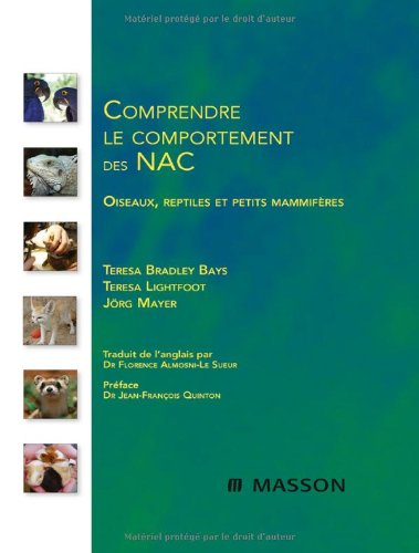 Comprendre le comportement des NAC : oiseaux, reptiles et petits mammifères