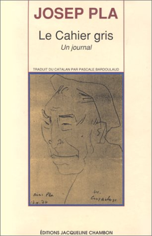 Le cahier gris : un journal