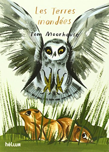 Les terres inondées