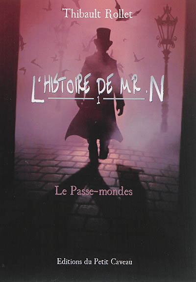 L'histoire de Mr N.. Vol. 1. Le passe-mondes