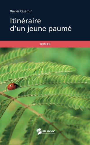 itinéraire d'un jeune paumé