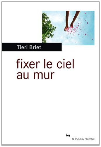 Fixer le ciel au mur