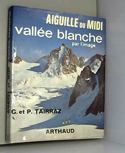 aiguille du midi vallee blanche par l'image.