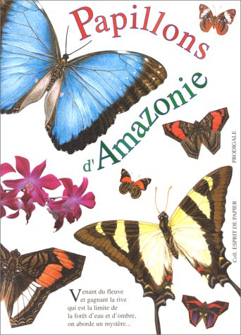 papillons d'amazonie
