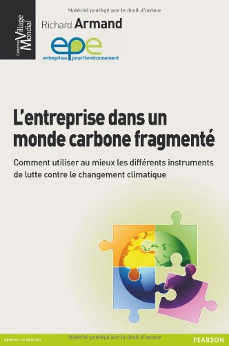 L'entreprise dans un monde carbone fragmenté : comment utiliser au mieux les différents instruments 