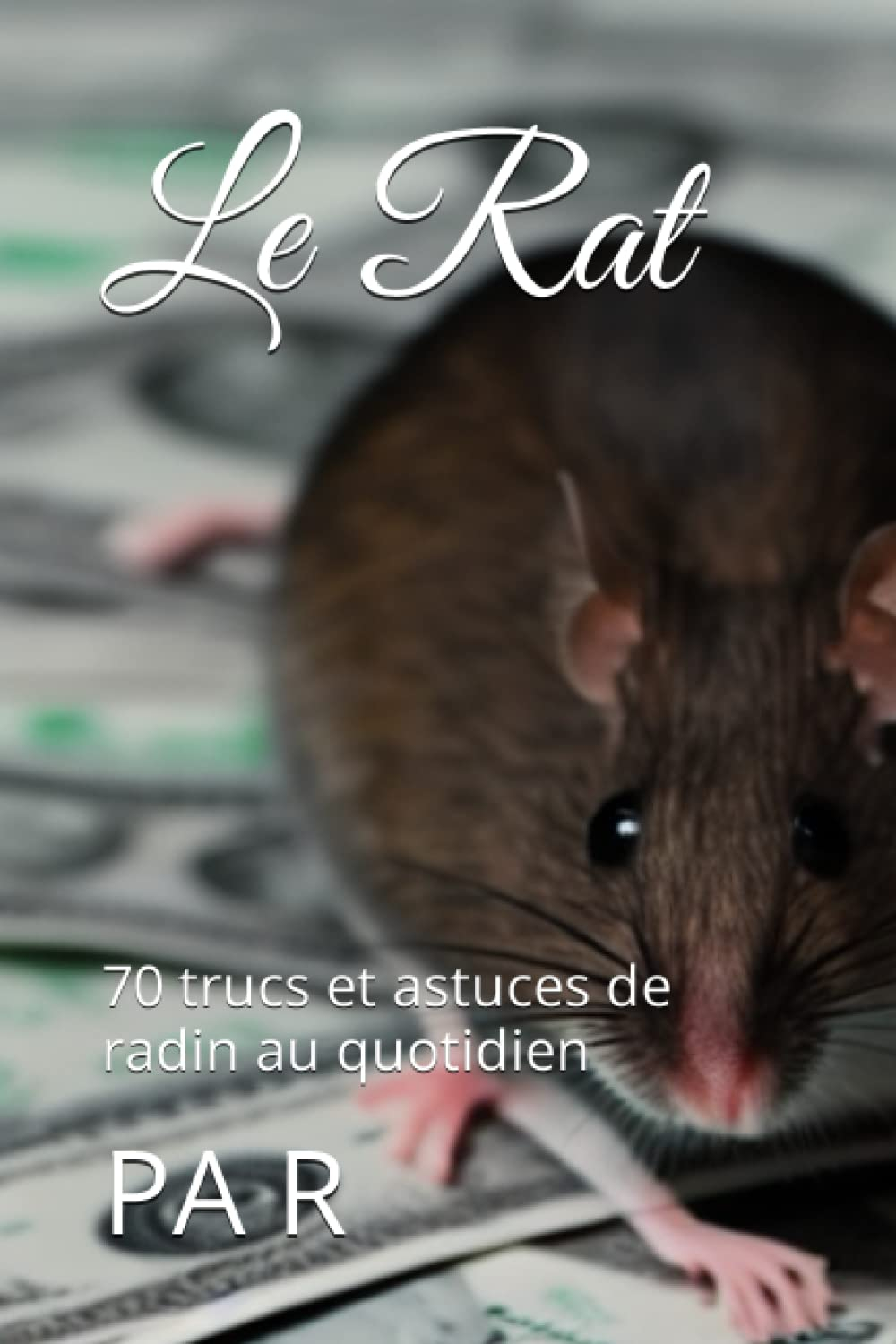 Le Rat: 70 trucs et astuces de radin au quotidien