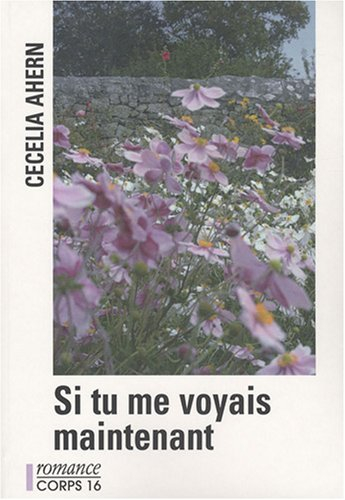 Si tu me voyais maintenant