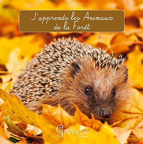 J'apprends les animaux de la forêt