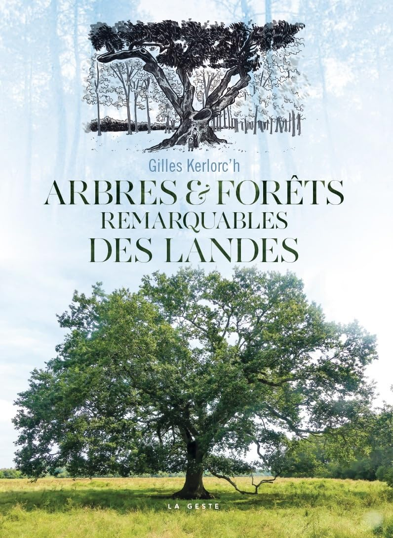 Arbres & forêts remarquables des Landes