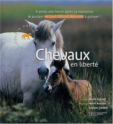 Chevaux en liberté : à peine une heure après sa naissance, le poulain se tient debout, déjà prêt à g