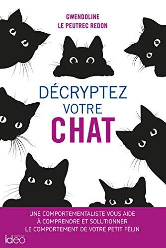 Décryptez votre chat : une comportementaliste vous aide à comprendre et solutionner le comportement 
