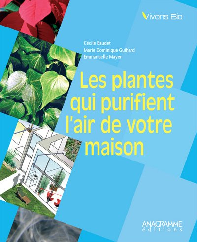 Les plantes qui purifient l'air de votre maison