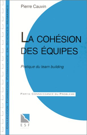 la cohésion des équipes : pratique du team building